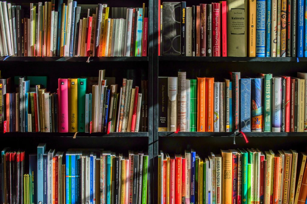 books-bookstore-book-reading-159711-159711 Vibrant collection of books on shelves for reading, research, and education.